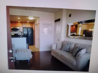 Photo #6: 221035759 Listing 