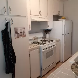 Photo #6: 221035826 Listing