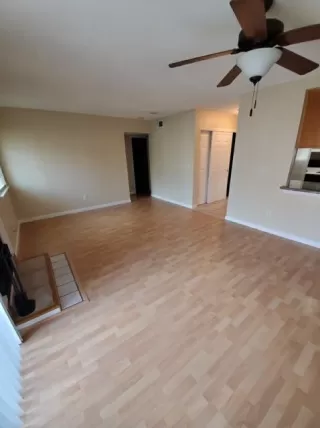 Photo #1: 221036806 Listing 