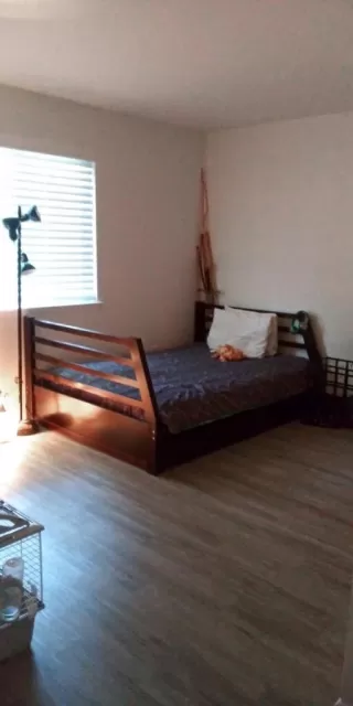 Photo #6: 221037049 Listing 