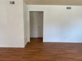 Photo #1: 221037416 Listing