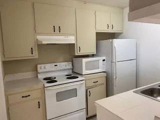 Photo #3: 221037416 Listing