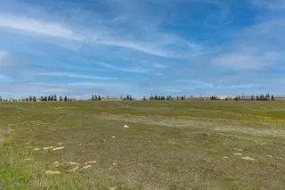 Photo #3: 221038818 Listing