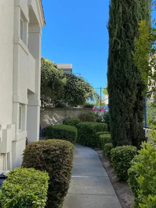 Photo #4: 221039176 Listing