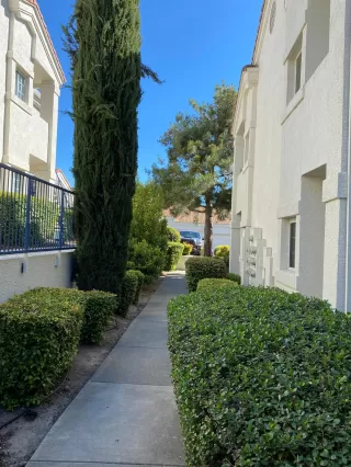 Photo #5: 221039176 Listing