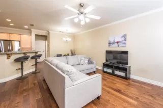 Photo #3: 221039273 Listing 