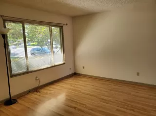 Photo #4: 221042900 Listing