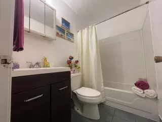 Photo #1: 221043135 Listing 