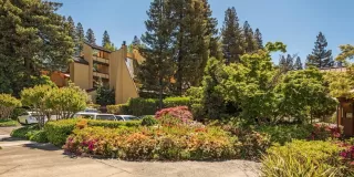 Photo #1: 221043187 Listing