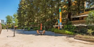 Photo #3: 221043187 Listing