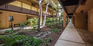 Photo #4: 221043187 Listing