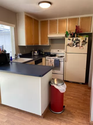 Photo #1: 221043571 Listing 