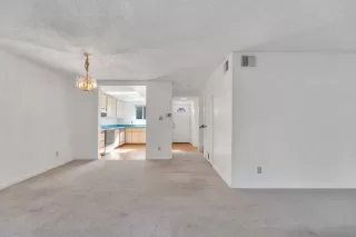 Photo #5: 221043968 Listing