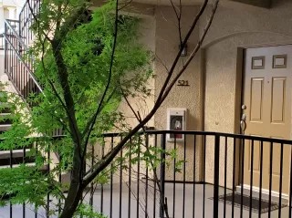 Photo #6: 221045493 Listing