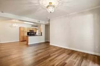 Photo #4: 221045603 Listing