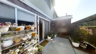 Photo #1: 221045717 Listing 