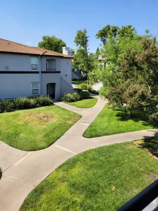 Photo #2: 221046599 Listing 