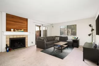 Photo #4: 221047349 Listing