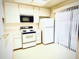 Photo #1: 221047368 Listing 