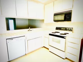 Photo #2: 221047368 Listing 