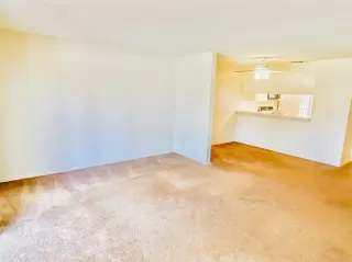 Photo #6: 221047368 Listing 