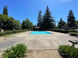 Photo #4: 221047503 Listing