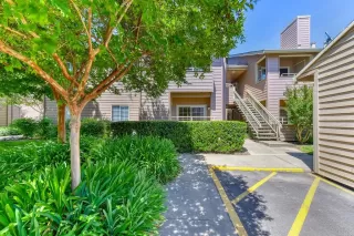 Photo #1: 221048071 Listing