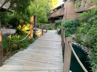 Photo #1: 221049242 Listing