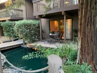 Photo #2: 221049242 Listing