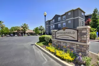 Photo #1: 221049458 Listing 