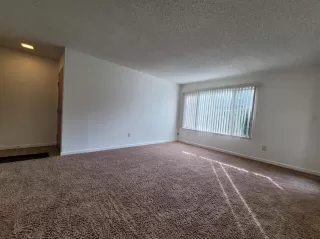 Photo #2: 221050313 Listing 