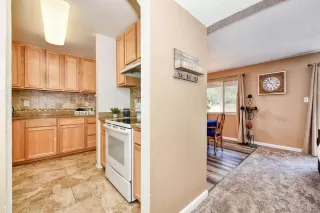 Photo #4: 221051683 Listing