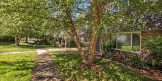 Photo #2: 221052411 Listing