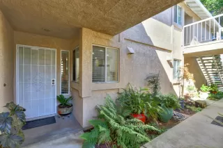 Photo #1: 221052829 Listing 