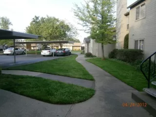 Photo #1: 221053217 Listing 