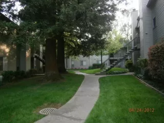 Photo #2: 221053217 Listing 