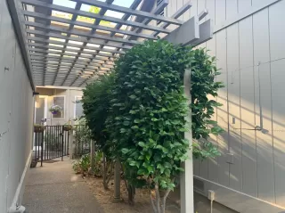 Photo #3: 221053218 Listing