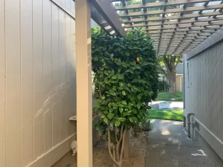 Photo #4: 221053218 Listing