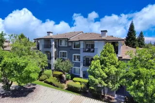 Photo #1: 221054205 Listing