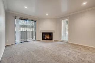 Photo #1: 221054678 Listing