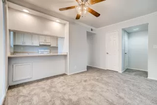 Photo #2: 221054678 Listing