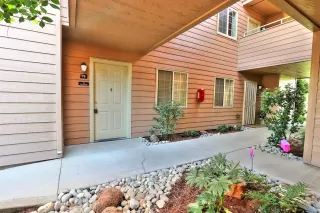 Photo #1: 221054822 Listing