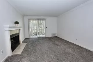 Photo #3: 221054822 Listing