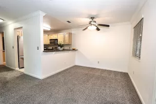 Photo #4: 221054822 Listing