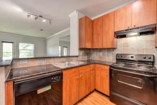 Photo #5: 221055100 Listing 
