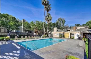 Photo #1: 221056658 Listing