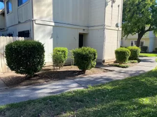 Photo #1: 221057595 Listing