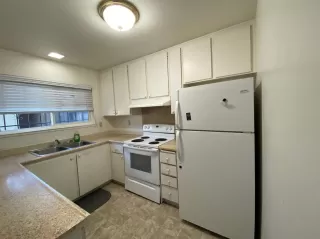 Photo #4: 221057595 Listing