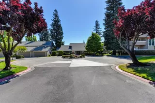 Photo #1: 221058801 Listing