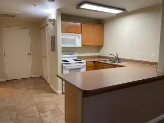 Photo #1: 221059543 Listing 